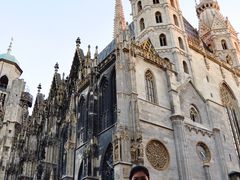 -斯蒂芬主教座堂(Stephansdom)