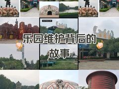 -太阳部落