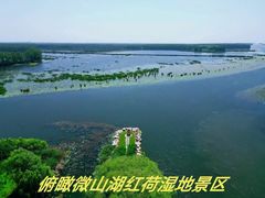 -滕州微山湖红荷湿地景区