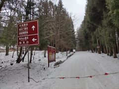 -武陵山森林公园