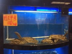 水产区-莆鑫海鲜城(浏河店)