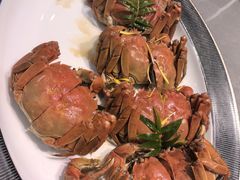-苏城小院·园林精致苏州菜(斜塘老街店)