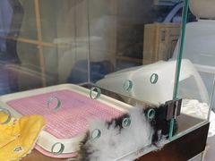 -FAELING PETS美天灵宠物(富力广场店)