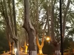 -灵谷景区