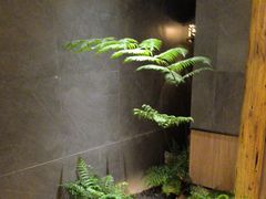 -翁暖茶馆(滨江东总店)