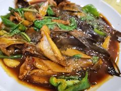 昂刺鱼-溱湖八鲜菜馆