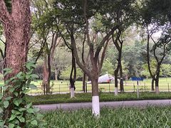 -广州逸林假日酒店·四季桃源中餐厅(白云山风景区店)