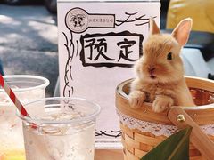 -大象厨房(重庆道店)