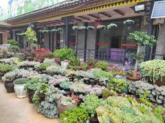 -山菌美食苑(振兴路店)