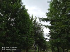 -沐仙湖湿地公园