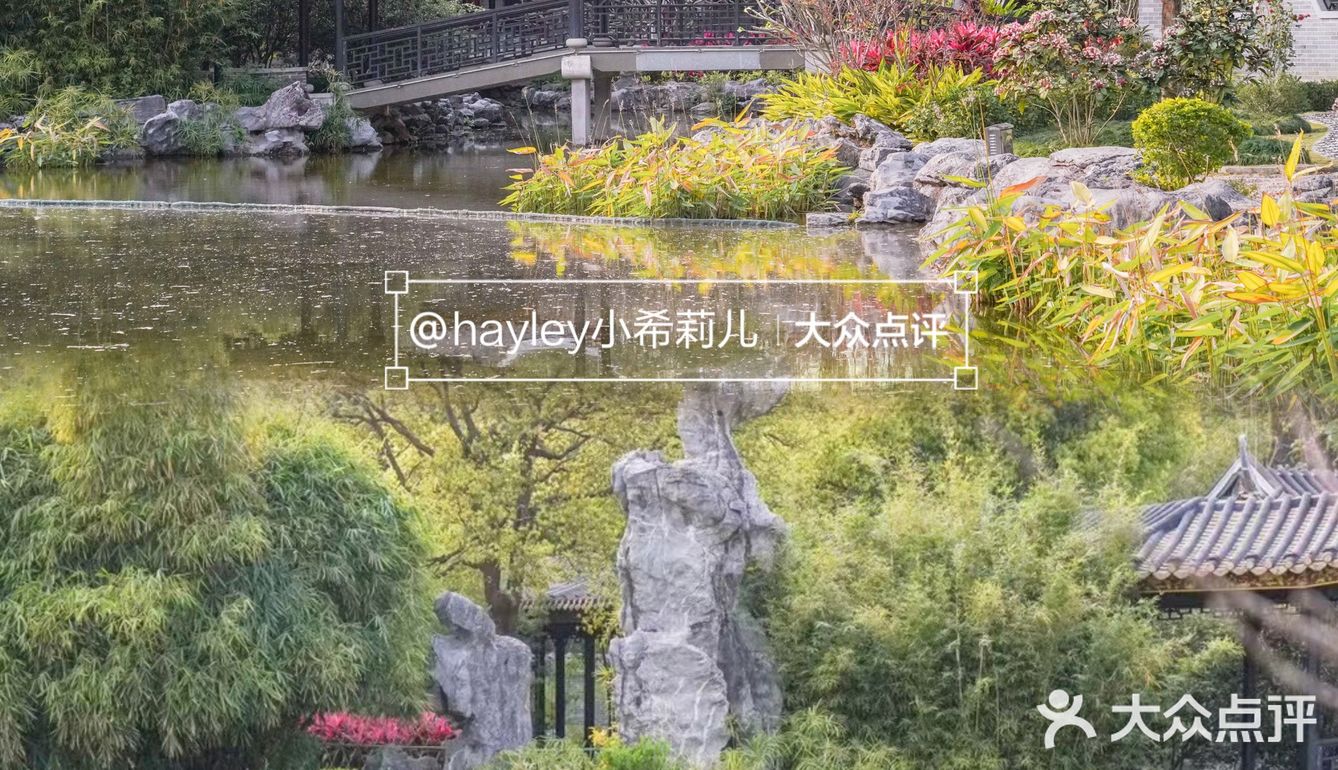 “啡”尝大良 │ 顺峰山公园里飘出浓浓咖啡香 