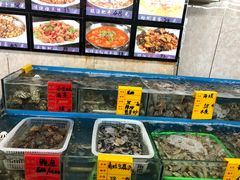 水产区-渔民船说·北塘海鲜·天津菜·海肠捞饭(北塘古镇店)
