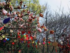 -宁波市保国寺古建筑博物馆