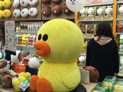 -line friends(明洞旗舰店)