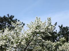 -木兰云雾山