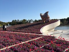 -上海鲜花港