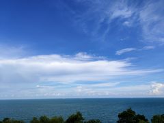 -广东惠东海龟国家级自然保护区