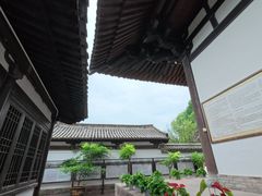 -龙兴寺