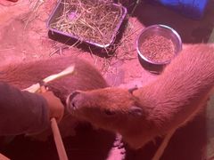 -正佳雨林生态植物园