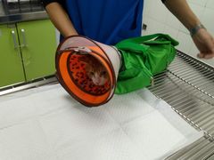 -宠福鑫动物医院·动物疾病诊疗中心(天通苑店)