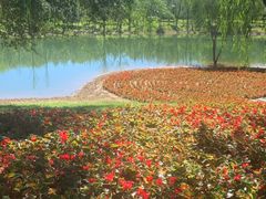 -永定河休闲森林公园