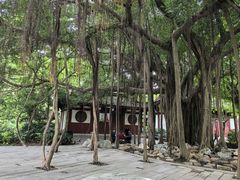 -西湖公园(鼓楼区)