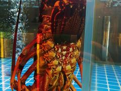 -ONE FULL 古董港式海鲜火锅