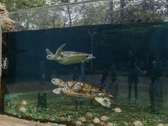 -广州海洋馆