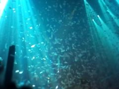 -SPACE(欢乐颂购物中心店)