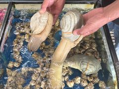 -南燕湾渔家码头