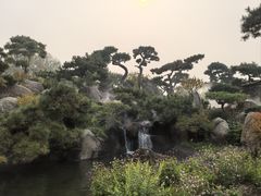 -罗红摄影艺术馆