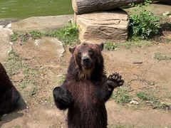 -石家庄市动物园