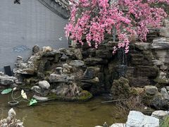 -白家大院·王府宫廷菜(苏州街店)