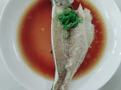 -天鹅到家·保姆月嫂育儿嫂(朝阳店)