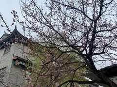 -滦州古城