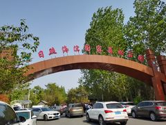 -日照海滨国家森林公园
