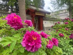 -保定直隶总督署博物馆