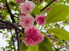 -莲花池公园