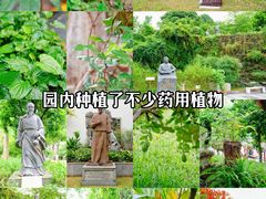 -广东中医药博物馆