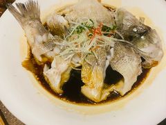 -几荷·恰似故人来(秀水广场店)
