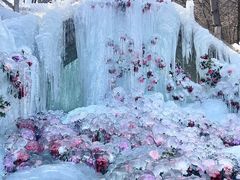 -洛阳白云山景区