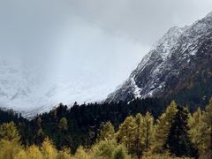 -金琴口腔·正畸种植全科(太升北路店)