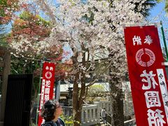 -上野公园花园稻荷神社(忍岡稲荷神社)