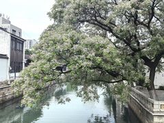 -青果巷历史文化街区
