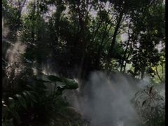 -成都市活水公园