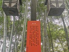 -韬光茶庵