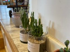 -猫的天空之城概念书店(丽江古城饮玉巷店)