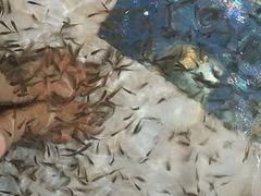 -水晶之星洗浴温泉汗蒸