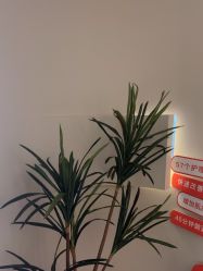 -栖SPA·ONDA ·海菲秀·皑皑科技美肤中心