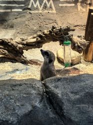 -Zoolung Zoolung动物主题公园(海信广场店)